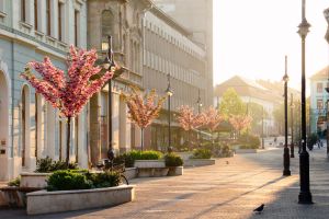 Le prix moyen au m² à Goussainville