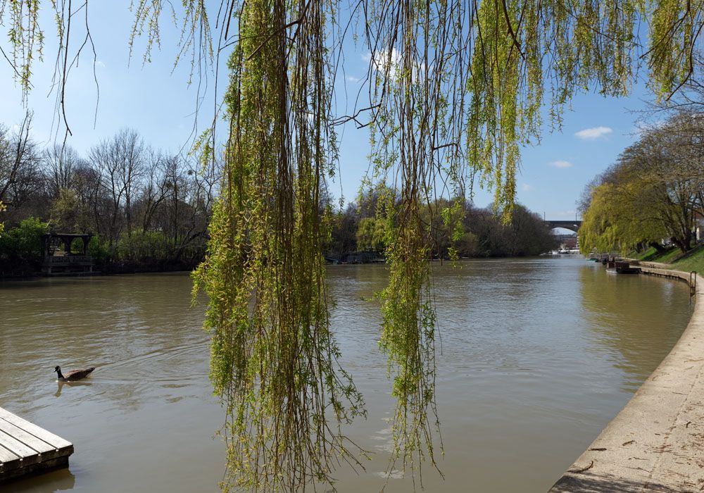 Le prix moyen au m² à Le Perreux-sur-Marne