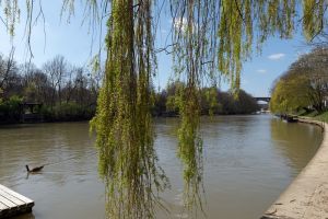 Le prix moyen au m² à Le Perreux-sur-Marne